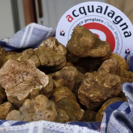 Hotel Shine Acqualagna